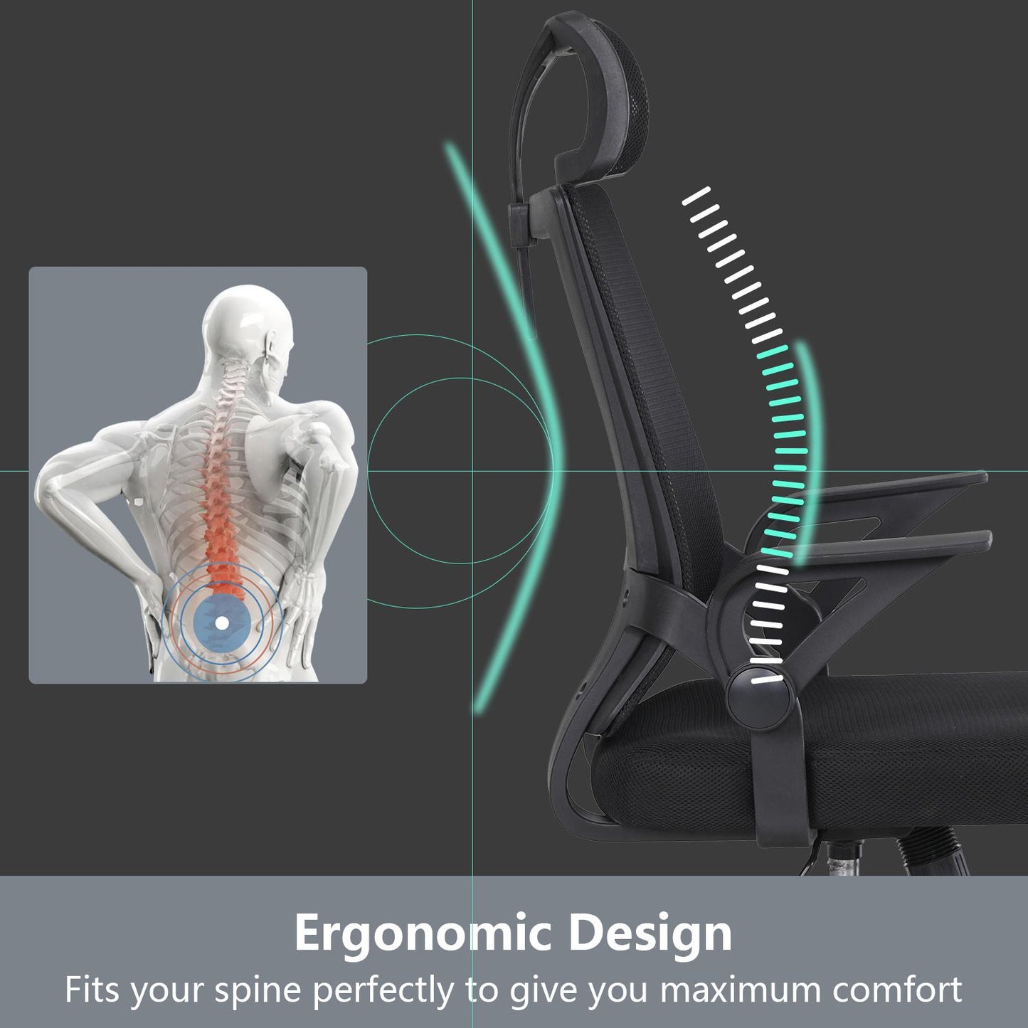 Ergonomic office chair, breathable mesh chair with lumbar support, comfortable computer chair