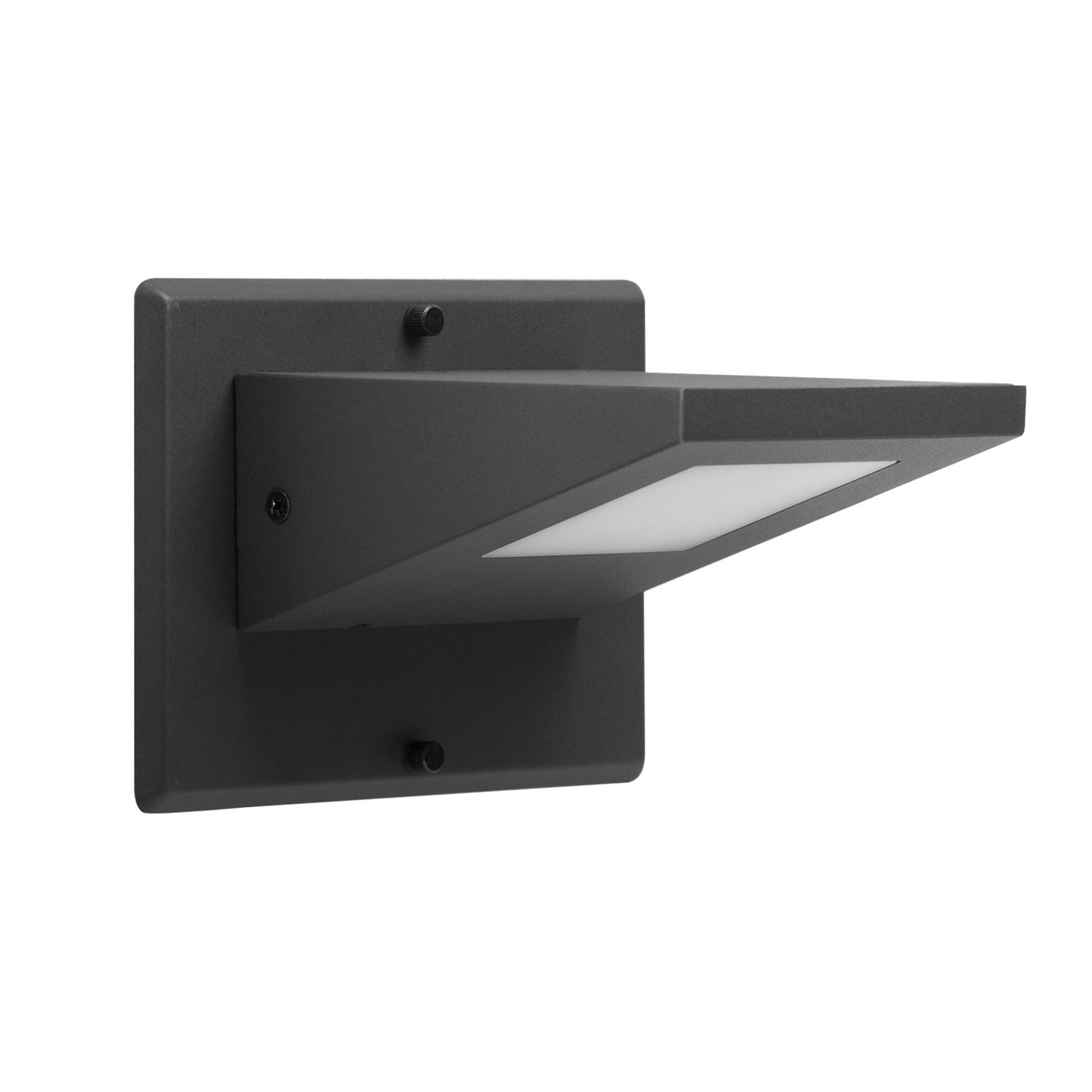 Outdoor Wall Light/ Path Light